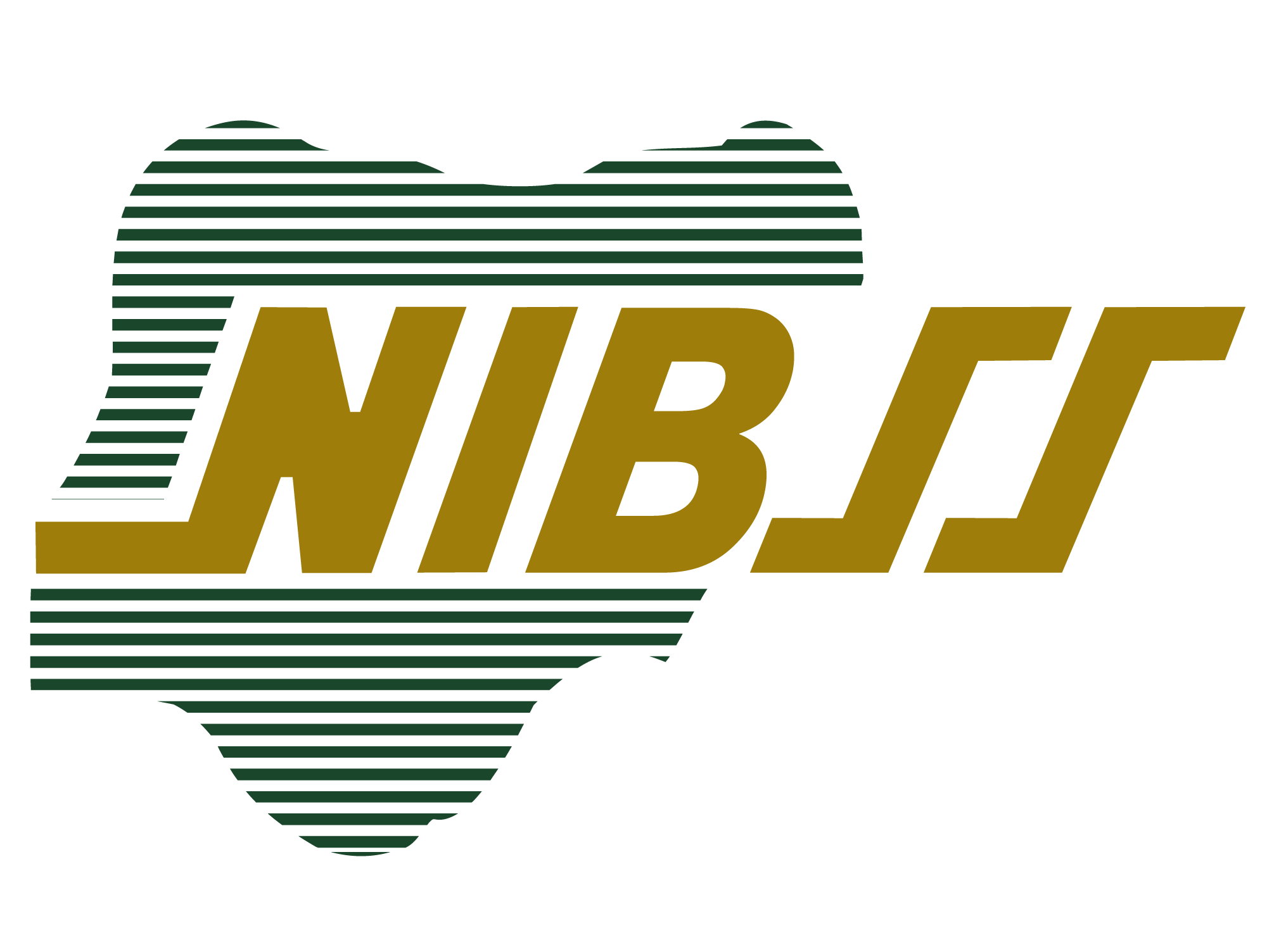 NIBSS